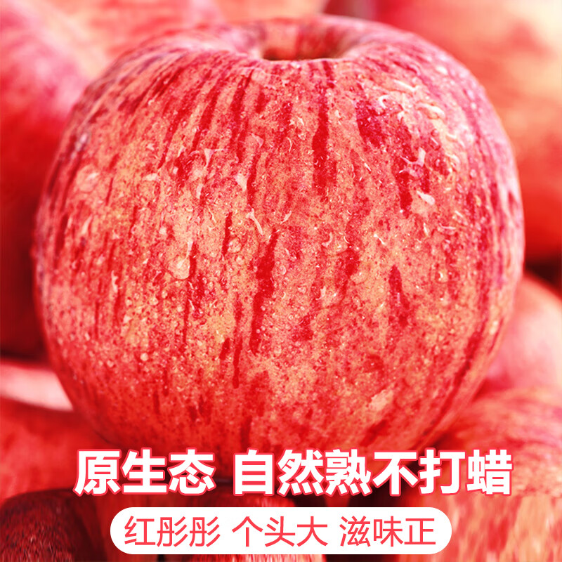 Jingdi Dalochuan apple net weight 7.2 catties single fruit 180g + Shaanxi Red Fuji apple gift box direct from source with free shipping