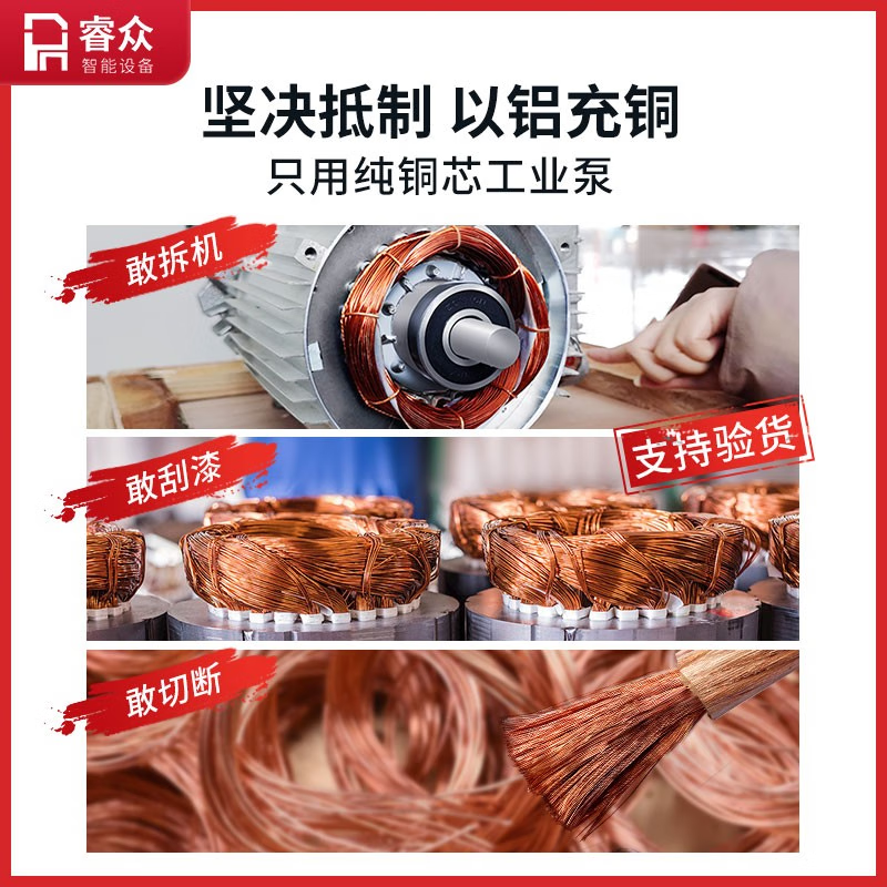 Ruizhong vacuum sealing machine, large suction, commercial cooked food packaging machine, dry and wet dual-use plastic sealing machine, rice dumplings marinated 400min desktop, wet and dry, pure copper pump 2 catties