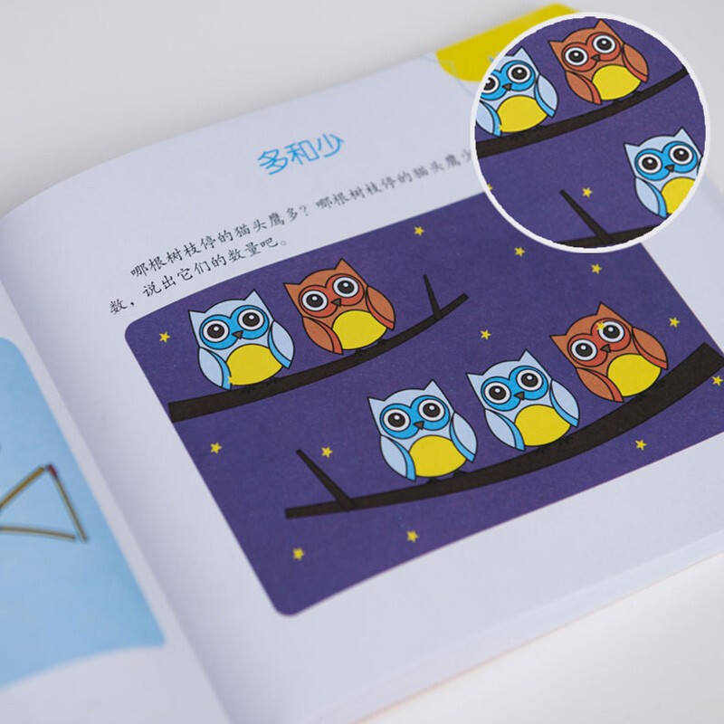 Sunshine Baby Multiple Intelligence Potential Development 3 to 4 years old