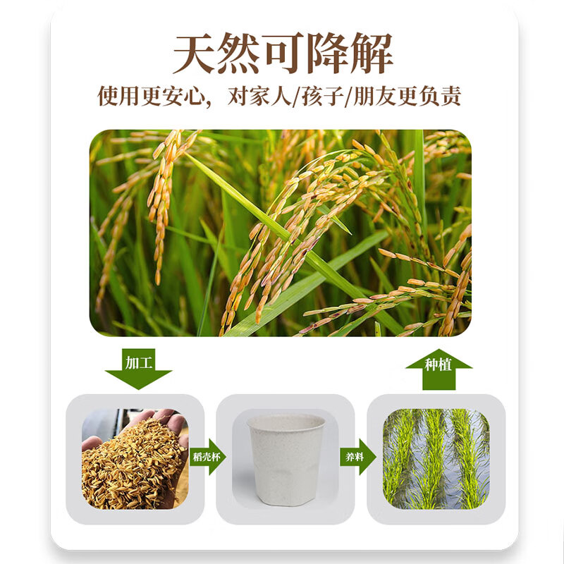 Daoying disposable cup for home office reception tea drinking cup Kung Fu tea cup food grade thickened rice husk water cup rice husk water cup 150ml six packs (120 in total)