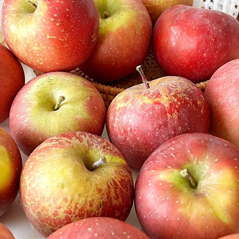 Yujian Orange Authentic Daliangshan Yanyuan Chou Apple Seasonal Fresh Fruit 2025 Fresh Fruit Net Weight 2.5 Jin 8-12 Small and Medium Fruits