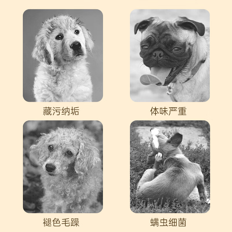 MIISHIIEM British MIISHILE dog special shower gel shampoo removes mites, removes bacteria, relieves itching and removes odor, pet fragrance 500ml