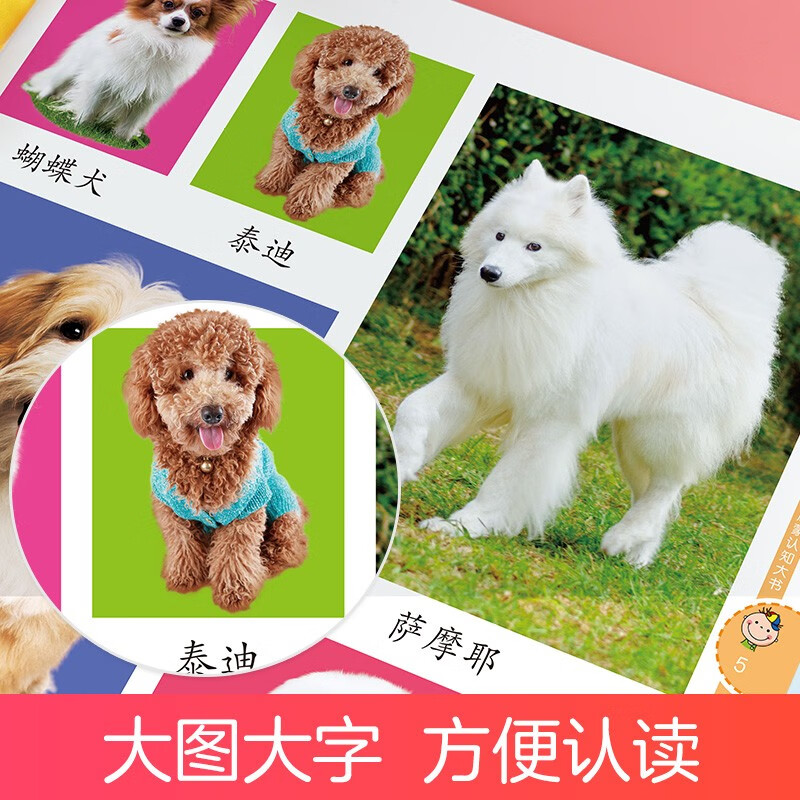 Amity Children's Baby Enlightenment Cognition Big Book Animal Encyclopedia 0-1-2-3 Years Old Infants and Toddlers Enlightenment Early Education Book Literacy Phonetic Version Audio Book Understanding Animals Picture Books