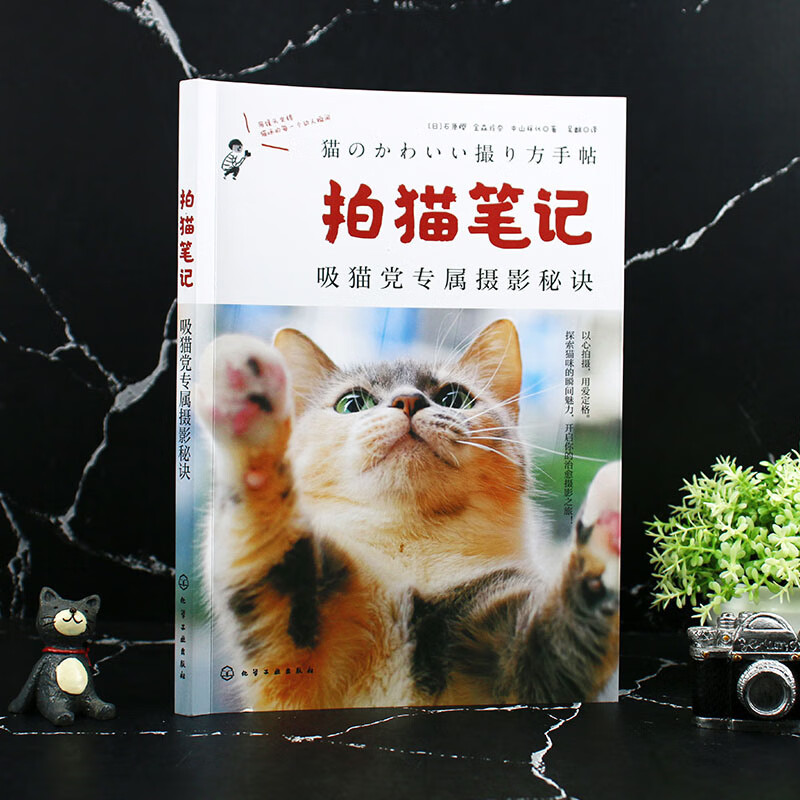 Cat Photography Notes Exclusive photography tips for cat lovers