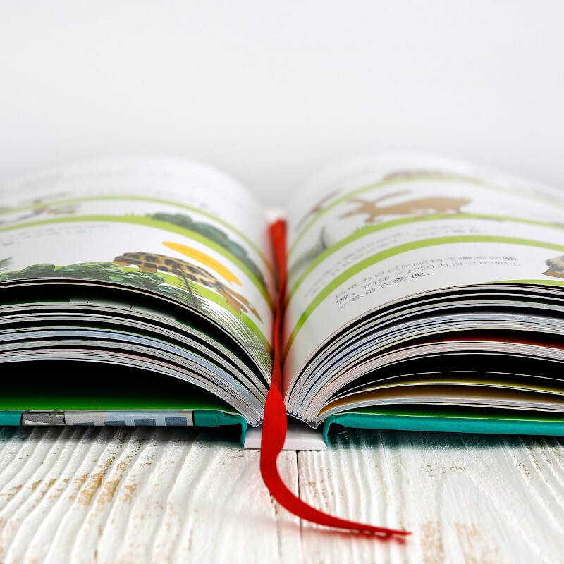 Important Things in DK Encyclopedia for Children My First Encyclopedia for Children's Encyclopedia 3-6 Years Old Baby Cognition Picture Book Preschool Knowledge Preparation Children's Big Book of Things Cognition