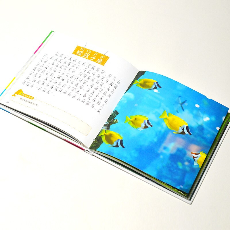 Fish Encyclopedia (1-minute Children's Encyclopedia) Soft Pack Hardcover Audiobook Phonetic Version Popular Science Readings 3-6-8 Years Old Kindergarten Grade 1, 2, and 3