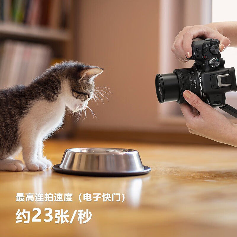 Canon EOS R10 lightweight high-performance mirrorless camera 4K Vlog video live broadcast home travel camera RF-S 18-45mm kit professional shooting kit