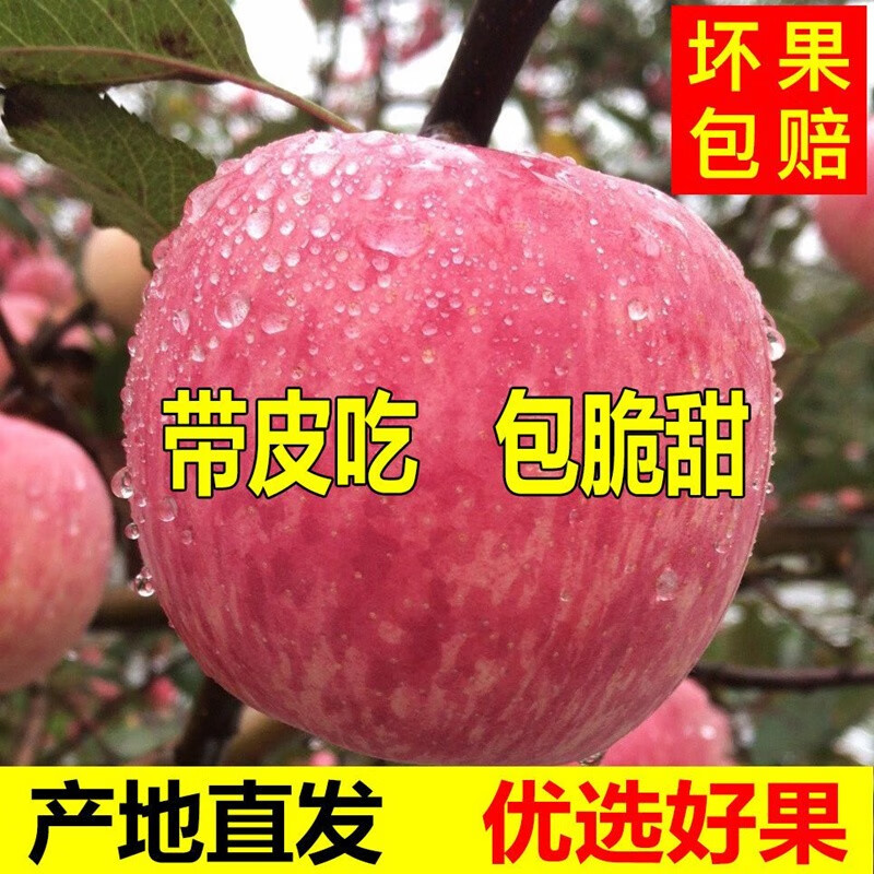 Erdie Shaanxi Red Fuji Apple Fresh Fruit 10kg Rock Candy Heart Seasonal Ugly Apple Seasonal Fruit Crisp Sweet Whole Box Selected 3kg Pack Net Weight 2.8kg 70-75mm