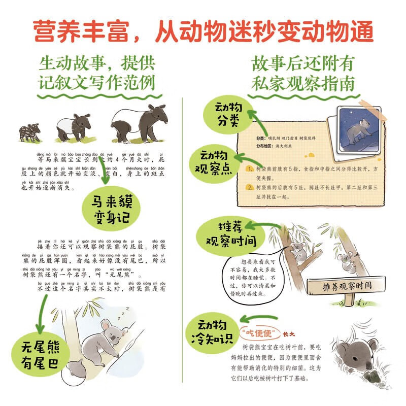 Zhang Chenliang recommends Infinite Light I Am a Super Breeder (5-volume set) children's storybook phonetic version