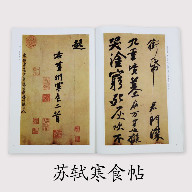 Ink dot calligraphy, Su Shi's cold food calligraphy, an introduction to brush calligraphy, copying examples of Su Shi's cold food calligraphy, past dynasties' calligraphy, enlarged and comparative copies with simplified marginalia and traditional cursive calligraphy