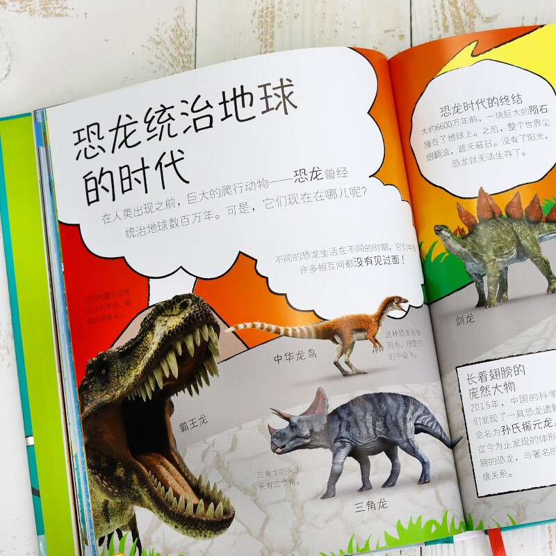 Important Things in DK Encyclopedia for Children My First Encyclopedia for Children's Encyclopedia 3-6 Years Old Baby Cognition Picture Book Preschool Knowledge Preparation Children's Big Book of Things Cognition