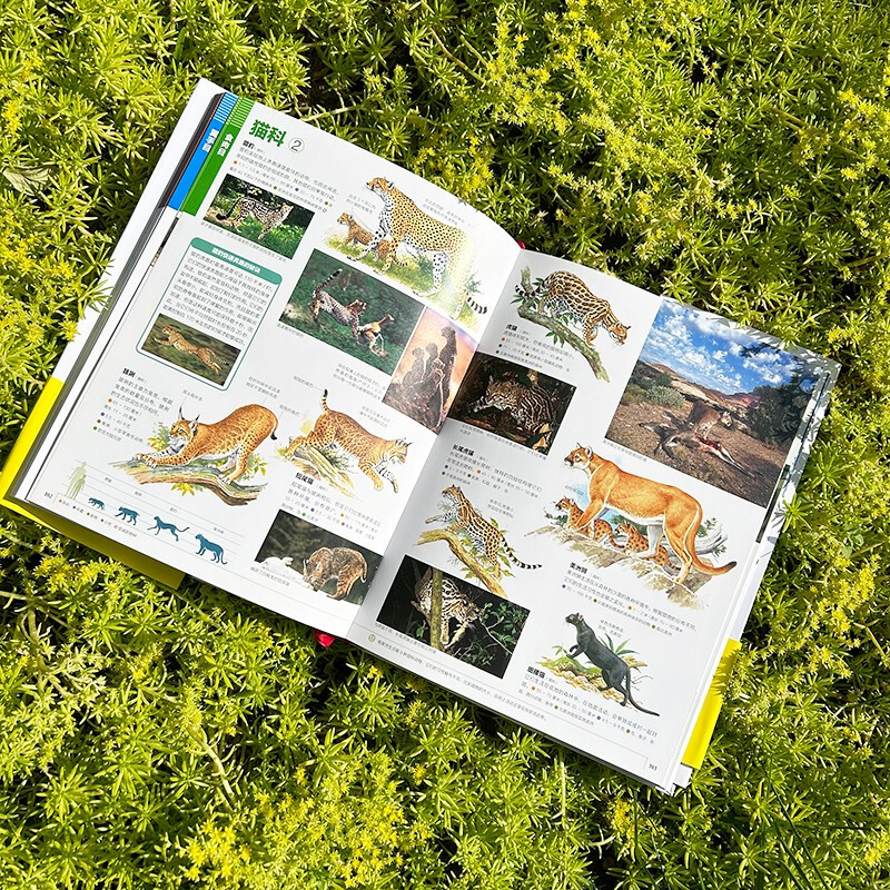 Shogakukan Encyclopedia Mammals The treasure of Japan's century-old community, the Chinese version of the encyclopedia series with sales of more than 14 million copies is available for the first time for those aged 7 and above