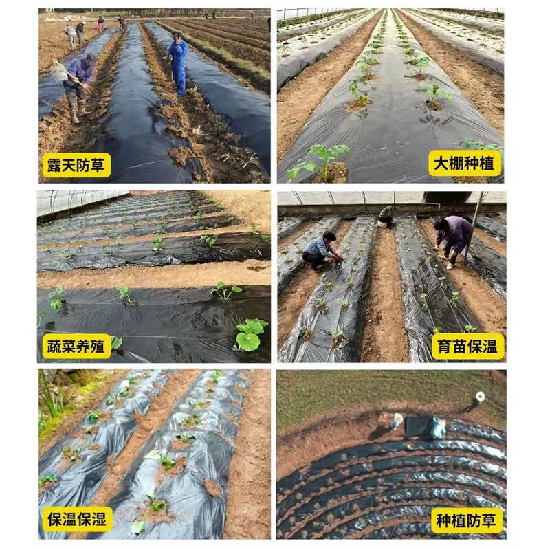 Agricultural mulch plastic film black mulch film planting weed control weed insulation moisturizing orchard fruit tree planting land vegetables 5 pounds black 1 silk thick 0.6 meters wide 350 meters long