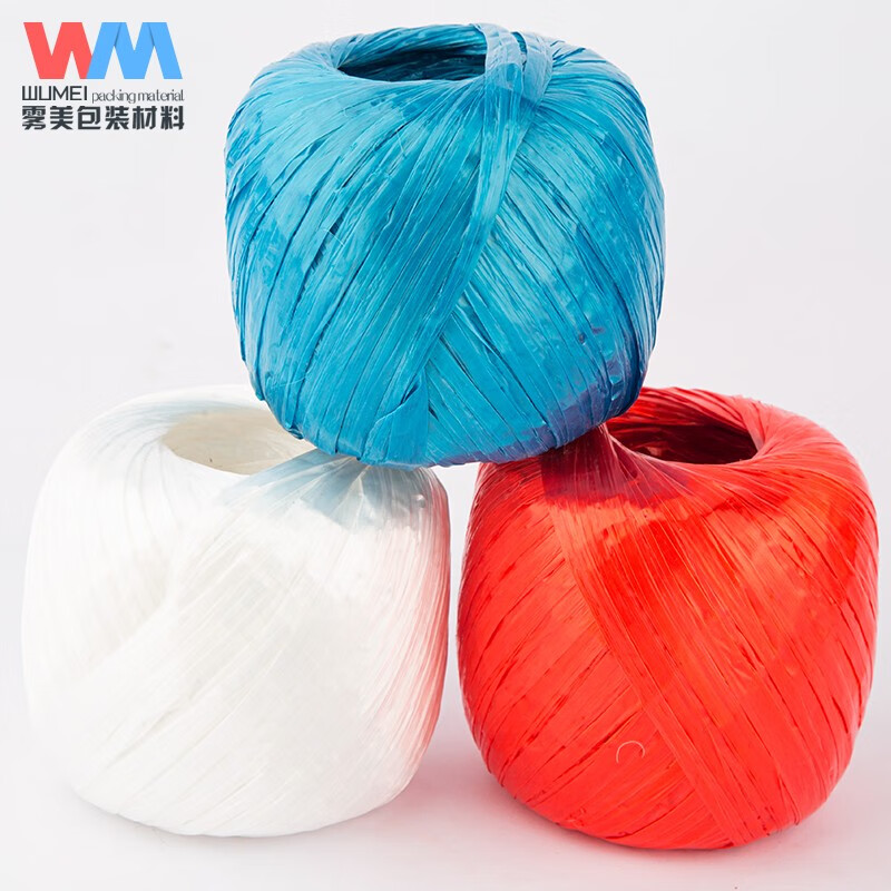 Wumei Large Roll 100 Meters Plastic Tear Rope Plastic Packing Rope Bundling Rope Packaging Rope Plastic Rope Strapping Tape Nylon Rope Bundling Rope Blue (150g)