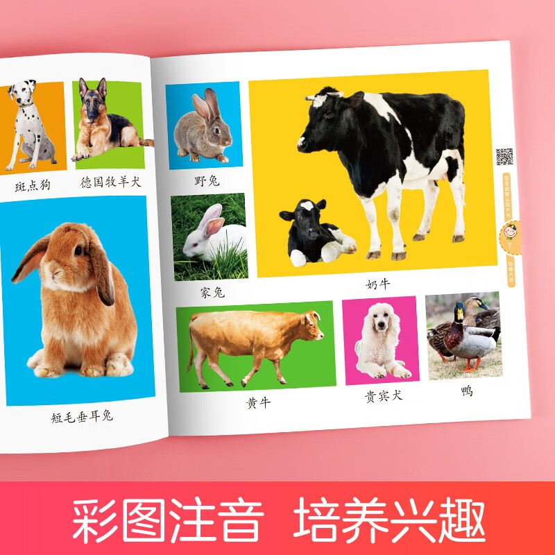 Amity Children's Baby Enlightenment Cognition Big Book Animal Encyclopedia 0-1-2-3 Years Old Infants and Toddlers Enlightenment Early Education Book Literacy Phonetic Version Audio Book Understanding Animals Picture Books