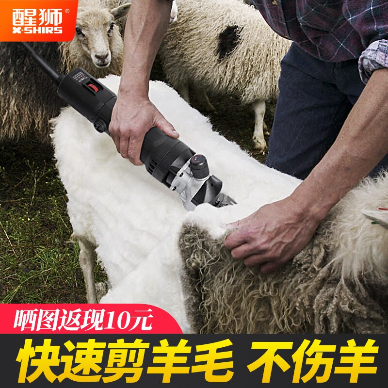 Xingshi electric wool shears, electric clippers, high power and labor-saving shearing clippers, shearing electromechanical scissors, fixed speed shearing shears (original 9 straight tooth knife)