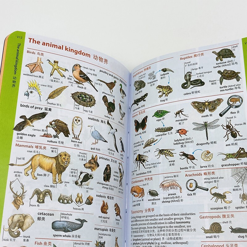 Oxford Advanced Learner's Dictionary (9th edition, abbreviated version) can be purchased with Xinhua Dictionary, Modern Chinese Dictionary, Ancient Chinese Common Words Dictionary, Ancient Chinese Dictionary, New Concepts, Idioms, Dictionary, Students, English Vocabulary, Writing, Composition, Reading, Learning