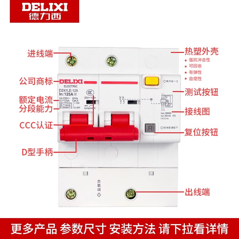 Delixi high current leakage circuit breaker 2P 80A100A 125A leakage protection DZ47LE-125 single and double phase 100A 2P