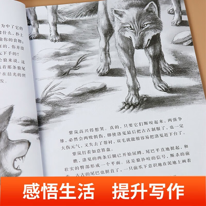 The Wolf King's Dream in Stone Creek is a genuine set of 5 volumes. The complete picture book of the animal novel King's collection. The 9-10-12-year-old youth edition must-read extracurricular reading books for primary school students in grades 4, 5 and 6. Classic book list for winter and summer vacations. Jingdong Children's Books self-operated children's literature books