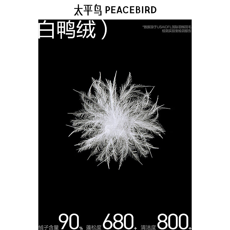 PEACEBIRD Men's Down Jacket BAACE412J Black Second Batch XL