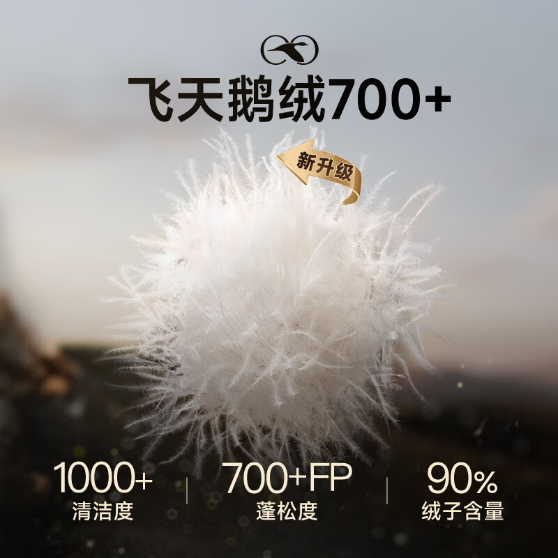 Govan Black Gold Goose Down Jacket Pioneer 4.0 Five-lattice Puff Down Jacket Unisex Short Winter Thick Jacket Premium Sense Black M