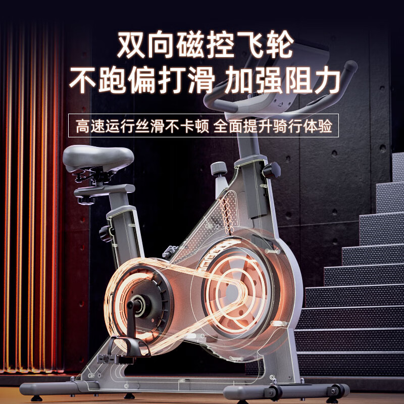 Langwei Spinning Bike Home Fitness Equipment Ultra-Quiet Indoor Sports Bike Magnetic Control Gym Use Ordinary Mechanical Model-Manual Magnetic Control (Elegant White)