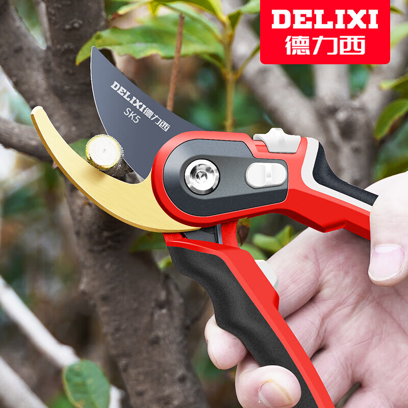 Delixi fruit tree shears, pruning scissors, garden flower pruners, branch scissors, thick flower shears, gardening scissors tools, Golden Ares, imported SK5 steel + free lanyard