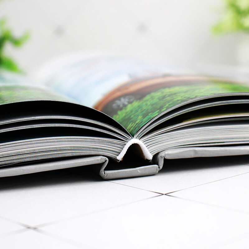 Encyclopedia of the Automobile World (Thousands of beautiful illustrations, the history and types of automobiles, and knowledge of each brand of automobiles in one book!)