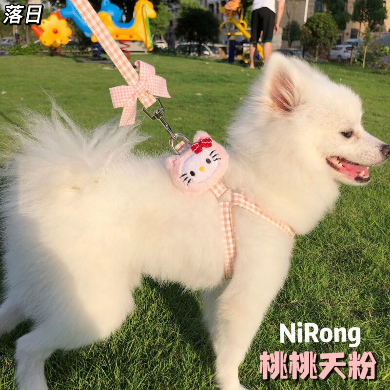 OIMG puppy leash dog walking leash puppy Teddy Bichon Pomeranian anti-breakaway dog leash dog leash cute when going out KT doll Taotaoyao powder 99.99% comfort S size 2-7 pounds