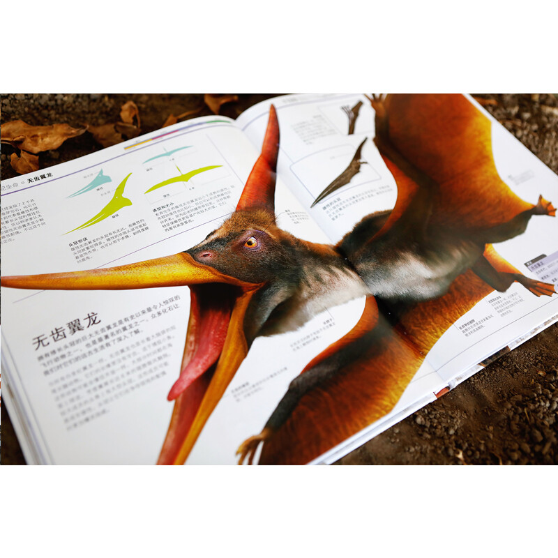 DK Encyclopedia of Dinosaur Knowledge, Hardcover Green Printing, Complete Collection of Dinosaur World, Popular Science Encyclopedia for Primary and Secondary School Students, Illustrated Book of Prehistoric Animals for 6-14 Years Old, Boys’ Favorite Popular Science Book