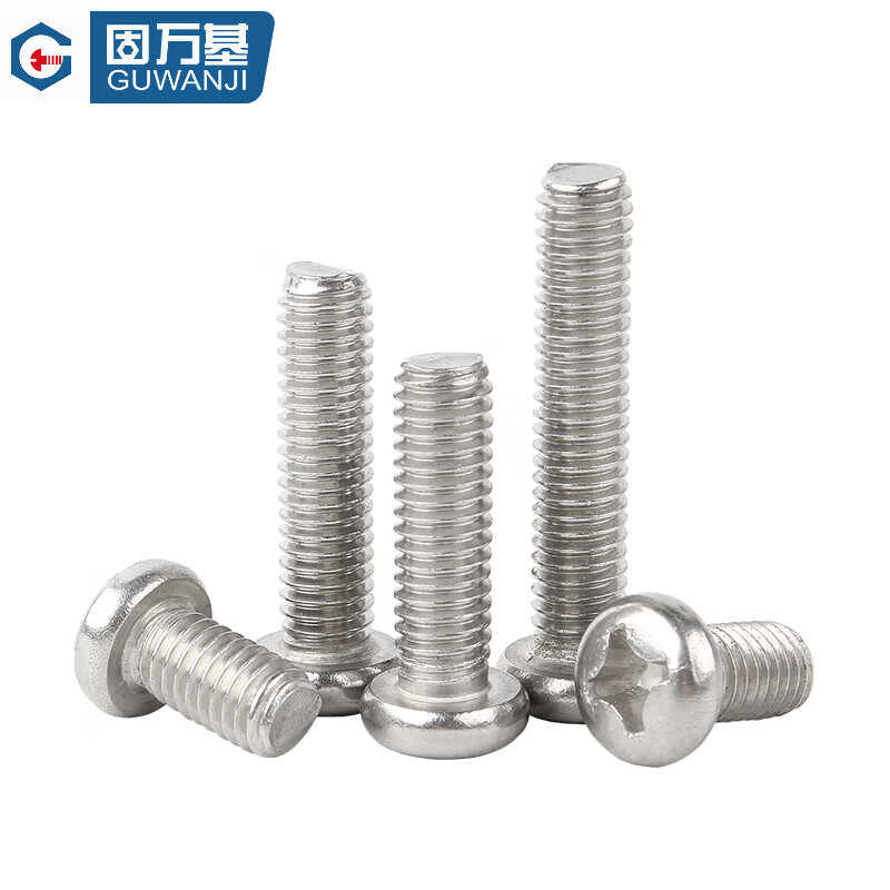 Guwanji 304 stainless steel extra long screw extended cross round head screw pan head bolt machine screw M6x100 (5 pieces)
