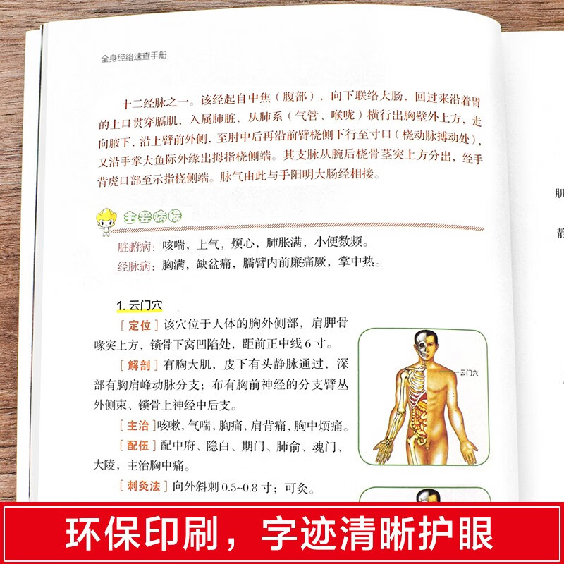 Quick Check Manual of Whole Body Meridians (Classic Color Illustration Version)