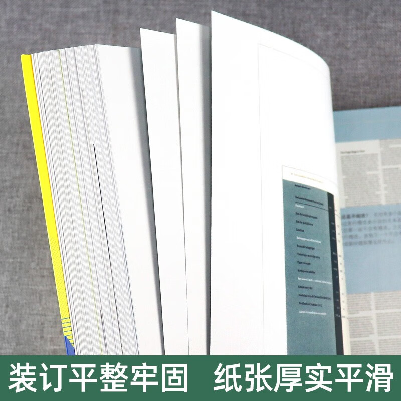 American Institute of Visual Design book 4-volume set Design elements + Complete design From theory to practice + Painting, composition, color and spatial style in graphic design Guangxi Fine Arts Publishing House