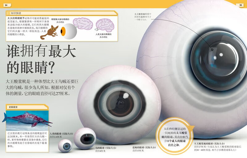 DK Children's Interesting Encyclopedia This can't be true! Hardcover color pictures, fun science for primary school students, amazing facts for 6-12 years old, extracurricular books to stimulate curiosity