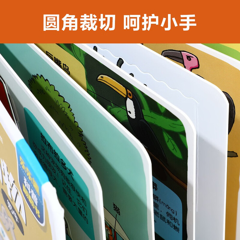 18 off for those over 87 years old. Little explorer flip book. Various animals. Fun science popularization cartoon flip book for children aged 3-6 years old.