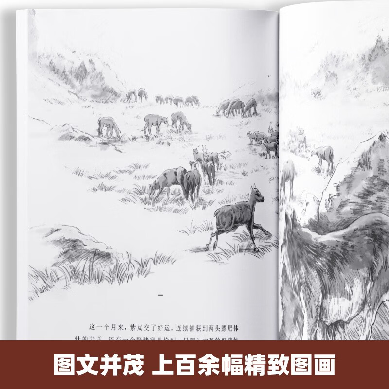 The Wolf King's Dream in Stone Creek is a genuine set of 5 volumes. The complete picture book of the animal novel King's collection. The 9-10-12-year-old youth edition must-read extracurricular reading books for primary school students in grades 4, 5 and 6. Classic book list for winter and summer vacations. Jingdong Children's Books self-operated children's literature books