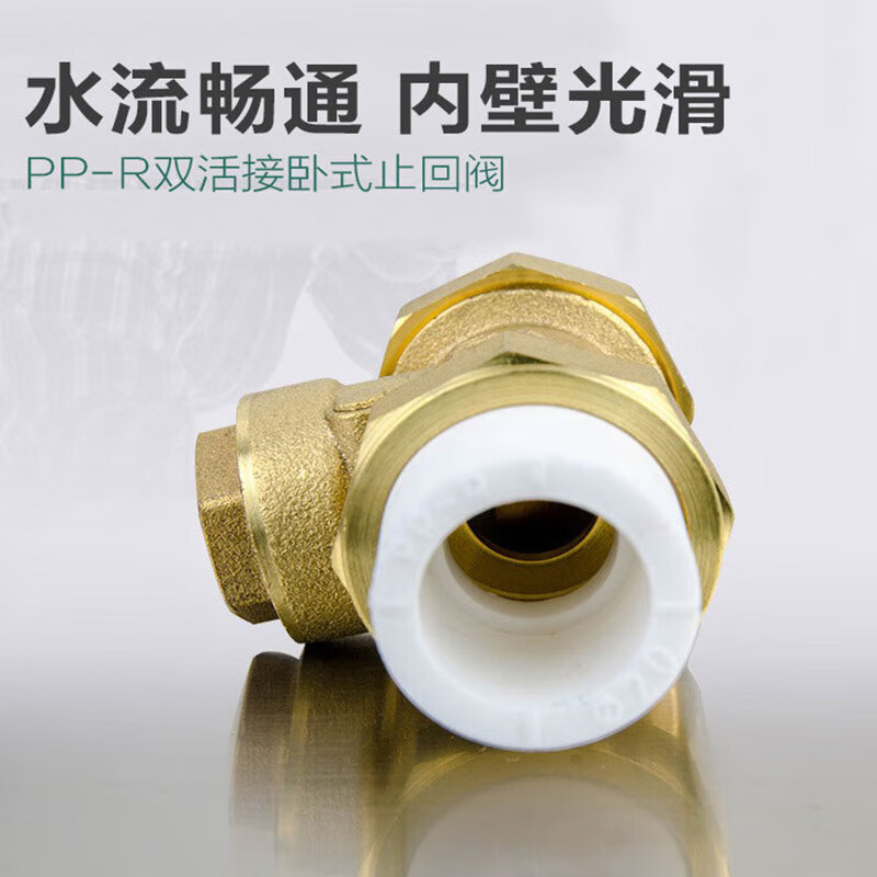 Teng Tu double hot melt union check valve H14H-16T check valve specifications can be customized PPR20-4 points one price