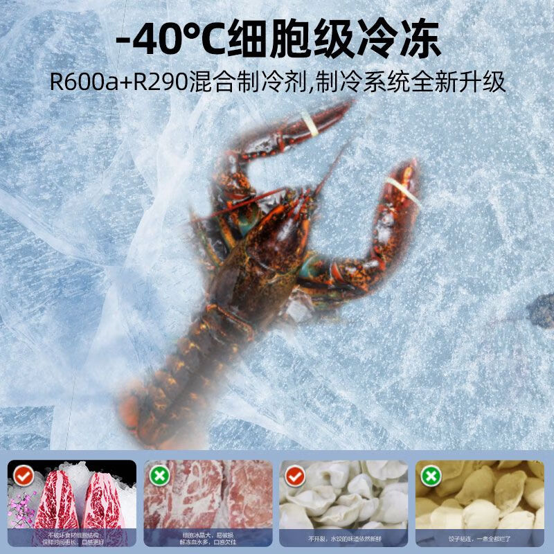 Star Freezer Air-cooled Frost-free Upright Freezer-40 First-Class Energy Efficiency Energy-Saving Cryogenic Refrigerator Freezer-40 Degrees Air-cooled Frost-free 231WPM