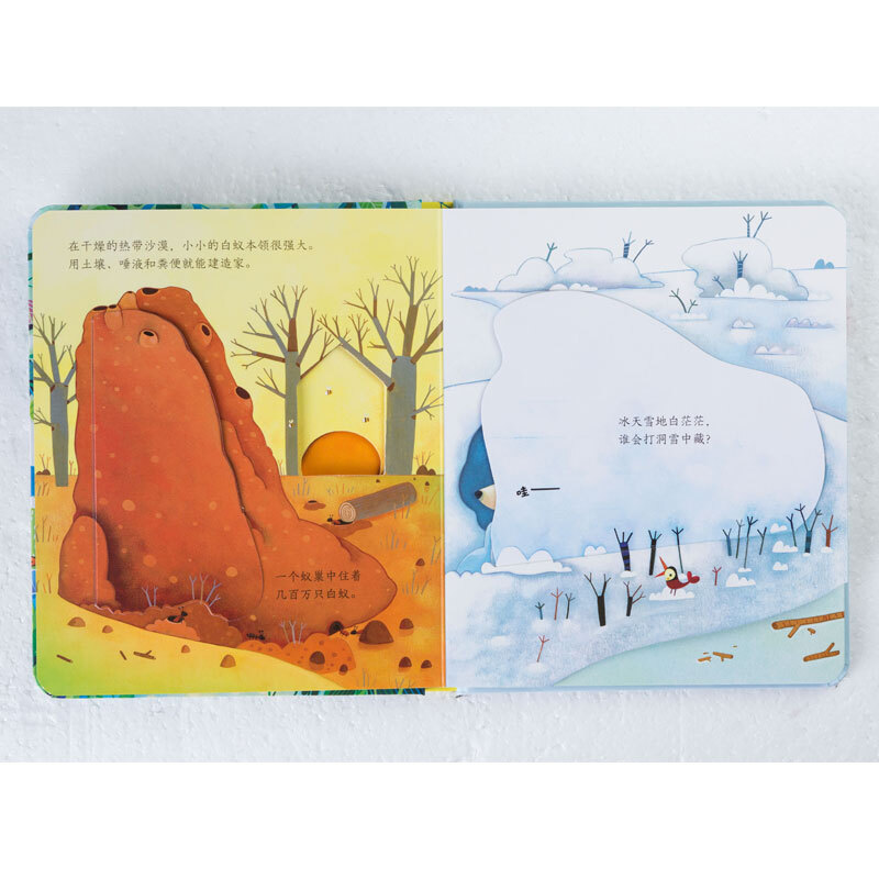 Usborne peeked inside the animal's home