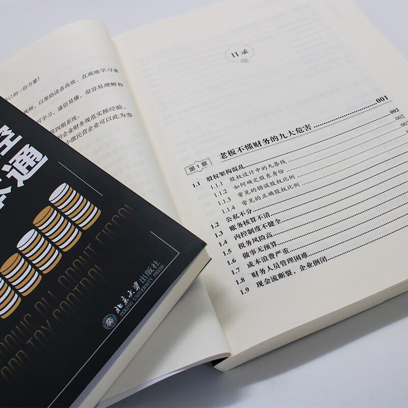 Boss’s comprehensive guide to financial and taxation control is tailor-made for entrepreneurs with zero financial foundation.