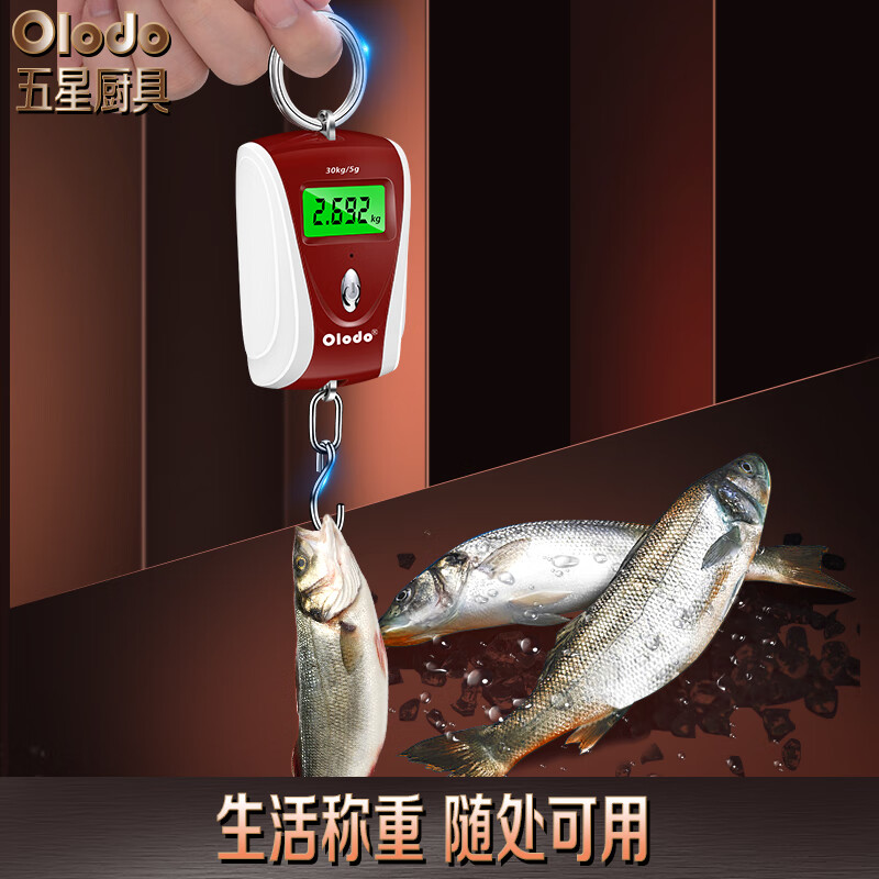 Orado portable scale electronic scale high-precision 30kg electronic scale household small hanging scale hook scale luggage scale express scale black and white + battery + Panasonic original battery 30kg 0.05g