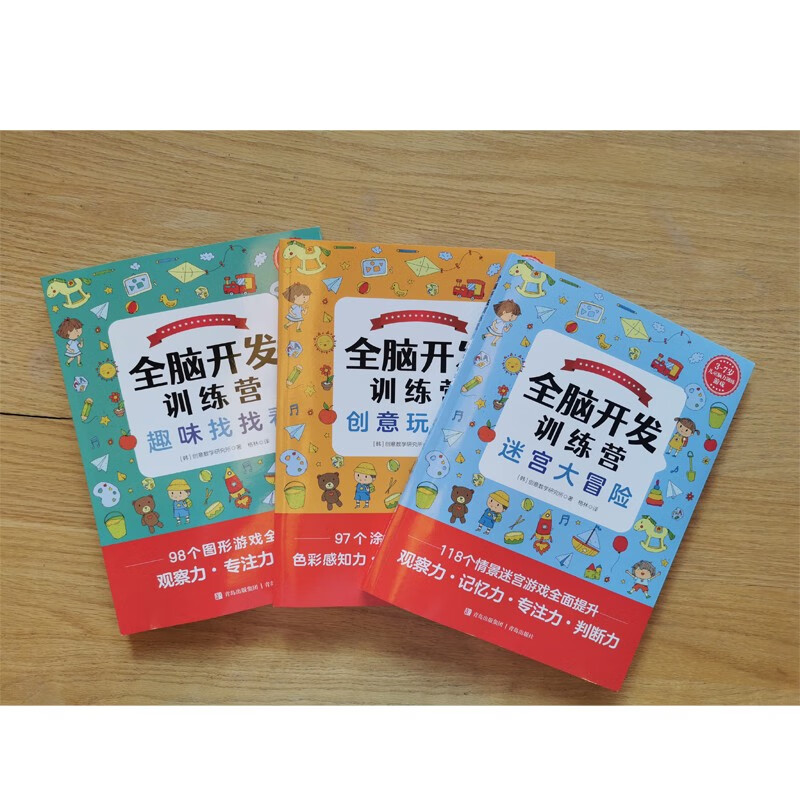 Whole Brain Development Training Camp Maze Adventure