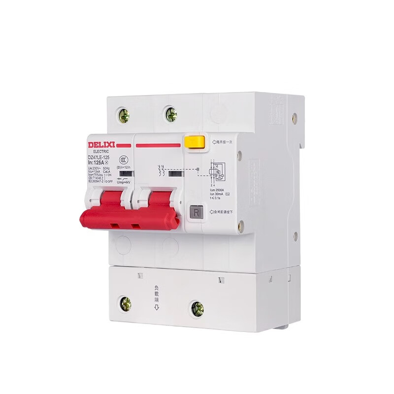 Delixi high current leakage circuit breaker 2P 80A100A 125A leakage protection DZ47LE-125 single and double phase 100A 2P