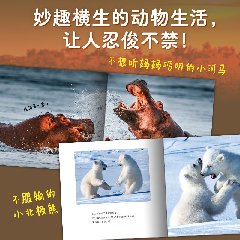 Cute wild animal set, all 5 volumes, paperback, high-definition photography, interesting stories, popular science knowledge about animals, real animal life scenes, kindergarten enlightenment picture books for children aged 3-6, encyclopedia, winter vacation extracurricular reading books