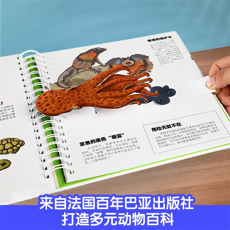 Our Animal Kingdom three-dimensional book is a fun children's book for children aged 3-6 years old, a popular science three-dimensional interactive flip book for young children, an early education animal world picture book