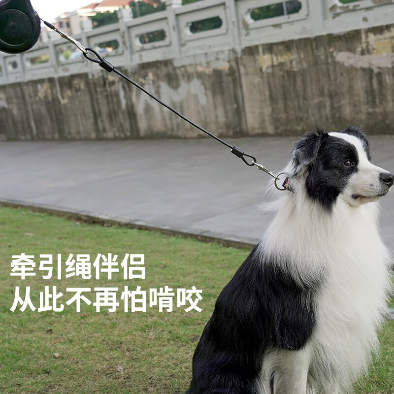 Super durable dog leash, anti-bite steel wire dog leash, medium and large dog golden retriever husky dog leash, pet dog leash, wire rope, black, one size fits all (length 60cm, suitable for both large and small dogs)