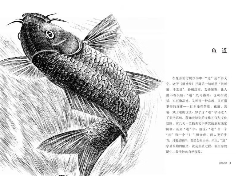 The Way of the Big Fish, upgraded version, animal novel king Shen Shixi's collection of books, children's literature extracurricular books, extracurricular reading, summer reading, extracurricular books