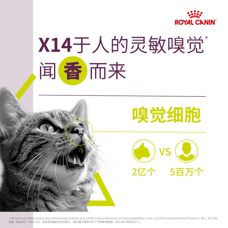 Royal Cat Food Sensory Feast Cat Wet Food - Fragrance Overflowing (Thick Soup Meat) Soft Pack Canned SSGP 85G Imported