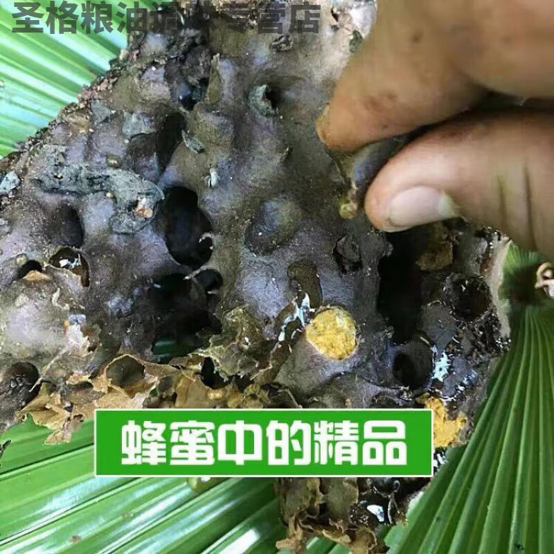 Hongyun Yunnan native honey earth sour honey tree sour honey stingless bee Xishuangbanna pregnant women Yunnan crystal tree cave honey two pounds free of charge in plastic bottles