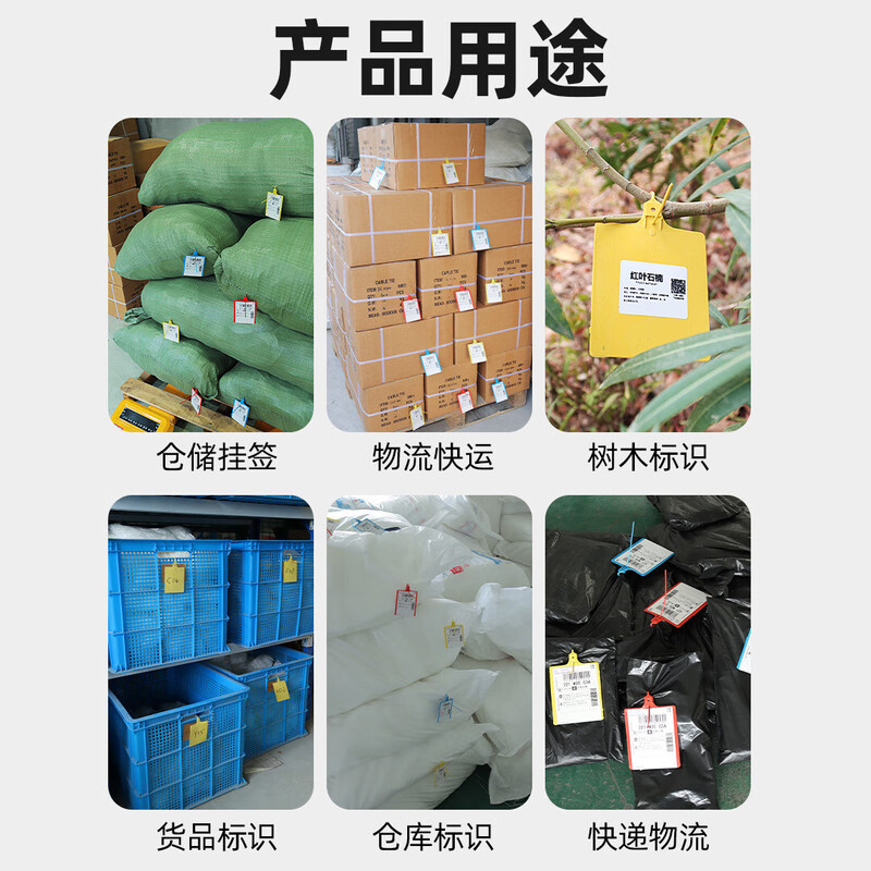 Cast solid logistics label thickened plastic tag with built-in lock core identification tag seal anti-return tie tie 100*80mm (100 strips) blue